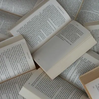 Bestseller Fiction Bundle (5 books)