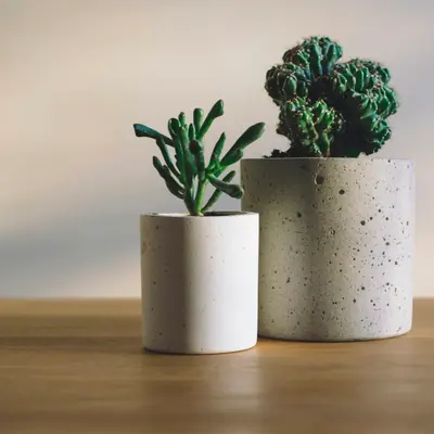 Ceramic Planter Set (3 pcs)
