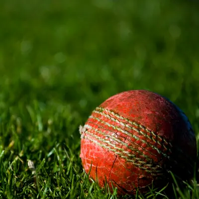 English Willow Cricket Bat