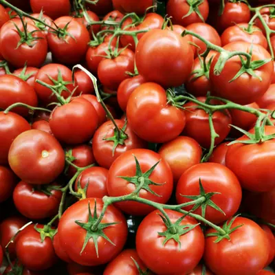 Farm Fresh Tomatoes (1 kg)