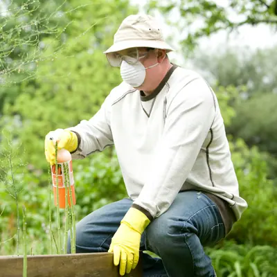 Herbal Pest Control Treatment