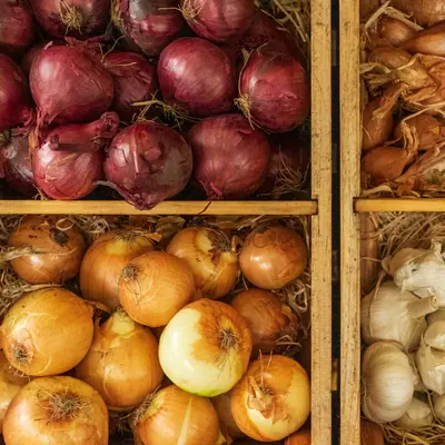 Organic Vegetable Box (5 kg)